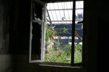 IMG_0612.JPG IMG_0612.JPG