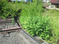 IMG_1997 (Medium).JPG IMG_1997 (Medium).JPG