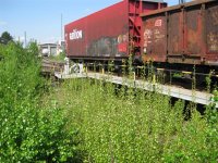 IMG_1998 (Medium).JPG IMG_1998 (Medium).JPG