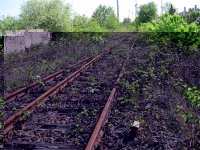 IMG_2024 (Medium).JPG IMG_2024 (Medium).JPG