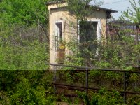 IMG_2025 (Medium).JPG IMG_2025 (Medium).JPG