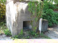 IMG_2037 (Medium).JPG IMG_2037 (Medium).JPG