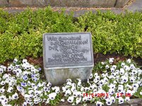 CIMG0204.JPG CIMG0204.JPG