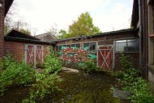DSC08200.JPG