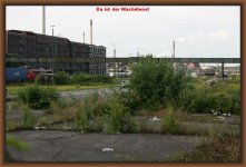 IMG_6441.JPG
