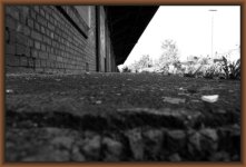 IMG_6436.JPG