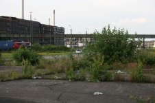 IMG_6442.jpg