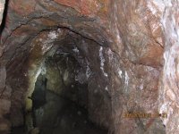 IMG_1563.JPG