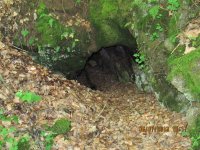 IMG_1557.JPG