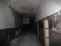 IMG_1132.jpg IMG_1132.jpg
