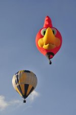 _DSC0325.JPG