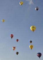 _DSC0350.JPG
