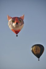 _DSC0353.JPG
