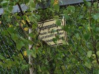 DSCF3157.JPG