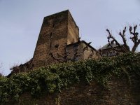 Oberwesel 2010 022.JPG