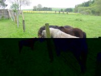 Bild 038.jpg Bild 038.jpg