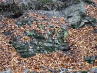 schinderhanneshöhle duisburg.jpg