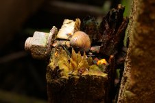 k-IMG_1374.JPG k-IMG_1374.JPG