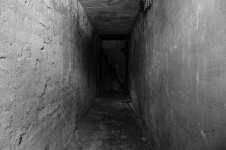 k-IMG_7650.JPG k-IMG_7650.JPG