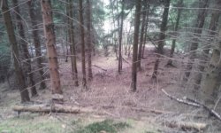 20140404_154539.jpg 20140404_154539.jpg