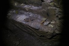 IMG_1180.JPG IMG_1180.JPG