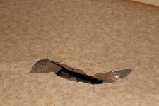 IMG_8099 (Small).JPG IMG_8099 (Small).JPG