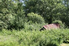IMG_8104 (Small).JPG IMG_8104 (Small).JPG