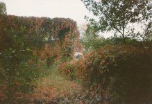 g.jpg g.jpg