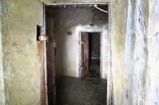 Silberfisch, Porta27 (Large).JPG Silberfisch, Porta27 (Large).JPG