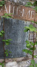 _DSC0685.JPG _DSC0685.JPG