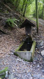 _DSC1364.JPG _DSC1364.JPG