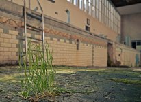 SAM_0820.JPG SAM_0820.JPG