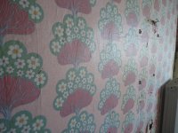 Bild 033.jpg Bild 033.jpg