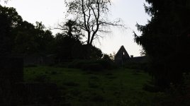 _DSC2502.JPG _DSC2502.JPG
