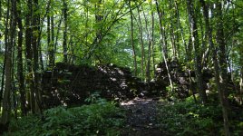 _DSC0538.JPG _DSC0538.JPG
