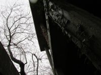 IMG_1531.JPG IMG_1531.JPG