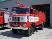 TLF-IFA.jpg