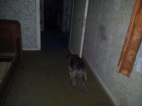 20130301_001957.jpg 20130301_001957.jpg