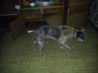 20130301_002108.jpg 20130301_002108.jpg