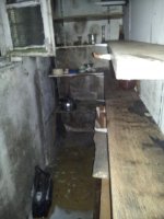 20130301_002856.jpg 20130301_002856.jpg