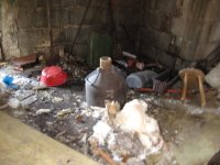 IMG_0700.jpg IMG_0700.jpg