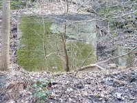 am toten Gleis (32).JPG am toten Gleis (32).JPG