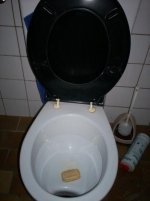 100_2021.JPG 100_2021.JPG