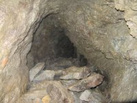 IMG_0784.jpg