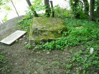 DSCN1803.JPG DSCN1803.JPG