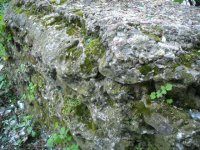 DSCN1805.JPG DSCN1805.JPG