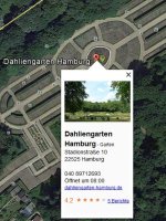 Dahlien.JPG