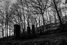 DSC_0809.jpg DSC_0809.jpg