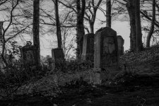 DSC_0784.jpg DSC_0784.jpg
