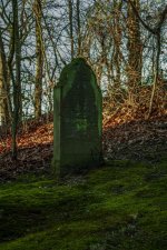 DSC_0774.jpg DSC_0774.jpg